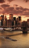 Dimex NEW YORK fotótapéta, poszter, vlies alapanyag, 150x250 cm