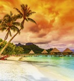 Dimex POLYNESIA fotótapéta, poszter, vlies alapanyag, 225x250 cm