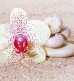 Dimex RELAXATION SAND fotótapéta, poszter, vlies alapanyag, 225x250 cm