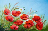 Dimex Vlies Fotótapéta - Poppies in the field - 375x250 cm