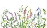 Dimex WILD FLOWERS fotótapéta, poszter, vlies alapanyag, 375x250 cm