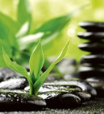 Dimex ZEN STONES fotótapéta, poszter, vlies alapanyag, 225x250 cm