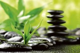 Dimex ZEN STONES fotótapéta, poszter, vlies alapanyag, 375x250 cm