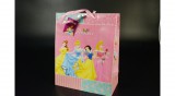 Disney Hercegnők papírtáska 26x32x13  cm kísérő kártyával