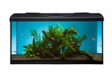 Diversa 50 Led Expert 10W Startup Black Egyenes 38 literes felszerelt akvárium szett (119683)
