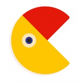 Djeco Állatdekor betű - C - Graphic animal letter