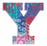 Djeco Little Big room Dekorbetű - Y - Peacock letter