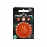 Dog Comets Exoplanet labda M