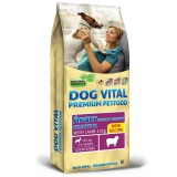 -Dog Vital Adult Sensitive Lamb Medium 12kg Dog Vital Adult Sensitive Medium Breeds Lamb 12kg