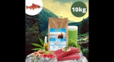 Dogledesign CanisAlpha Wolfskonzept hidegen sajtolt monoprotein száraztáp kutyáknak 10 kg - TENGERI HALFILÉ