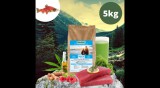 Dogledesign CanisAlpha Wolfskonzept hidegen sajtolt monoprotein száraztáp kutyáknak 5 kg - TENGERI HALFILÉ