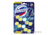 Domestos Power 5 Toilet Heroes Limited Edition WC-rúd, Captain Freshness, 2x55g