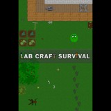 DoriTeam Lab Craft Survival (PC - Steam elektronikus játék licensz)