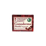 DR.CHEN GANODERMA KAPSZULA 60DB
