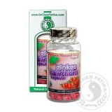 DR.CHEN GINKGO + GALAGONYA C-VITAMIN KAPSZULA 100DB