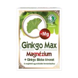 Dr. Chen Ginkgo Max Magnézium Kapszula 60 db