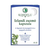 Dr. Chen Kohoflu Izlandi Zuzmó Kapszula 40 db