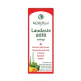 DR.CHEN KOHOFLU LÉGÚTTISZTÍTÓ SZIRUP 150ML