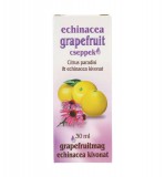 Dr. Chen Patika Dr. Chen Echinacea Grapefruit Cseppek 30 ml