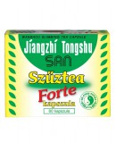 Dr. Chen Patika Dr. Chen Szűztea Kapszula Forte 80 db