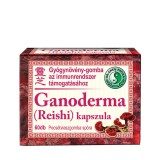 Dr.Chen patika Ganoderma-Reishi- kapsz. -Chen patika-