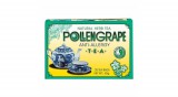 DR.CHEN POLLENGRAPE FILTERES TEA ALLERGIÁRA 20DB