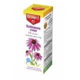 DR.HERZ ECHINACEA+C-VITAMIN CSEPP 50ML