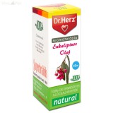 Dr. Herz Eukaliptusz illóolaj 10ml
