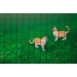 Drótkerítés, 25mmx25mm, műanyag bevonattal, 1mx5m