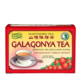 Dr.Chen patika Galagonya tea-Chen patika-filteres
