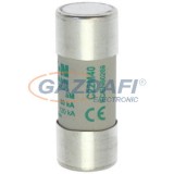 EATON C22M40 Hengeres betét 22x58mm, 690V AC, aM