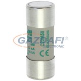 EATON C22M50 Hengeres betét 22x58mm, 690V AC, aM