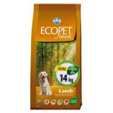 -Ecopet Natural Adult Lamb Medium 14kg Ecopet Natural Lamb Medium 14kg