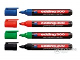 Edding 300 alkoholos marker vegyes színekben