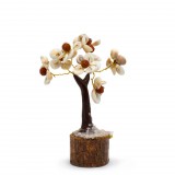 Éden Közepes Gomati Chakra Kő Fa Rudrakshával - (45 kő)