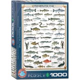 Édesvízi halak, 1000 db-os puzzle (EUROGRAPHICS, 6000-0312)