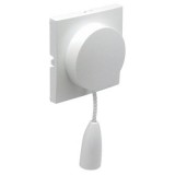 Efapel 90741 TGE Fedlap húzókapcsolóhoz jég