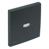 Efapel 90794 TIS Egyes billentyű jelzőfényes kulcs jellel szürke