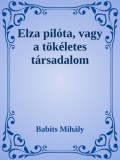 Efficenter Kft. Babits Mihály: Elza pilóta, vagy a tökéletes társadalom - könyv