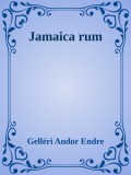 Efficenter Kft. Gelléri Andor Endre: Jamaica rum - könyv