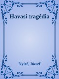 Efficenter Kft. Nyirő József: Havasi tragédia - könyv