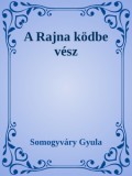 Efficenter Kft. Somogyváry Gyula: A Rajna ködbe vész - könyv