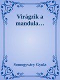 Efficenter Kft. Somogyváry Gyula: Virágzik a mandula - könyv