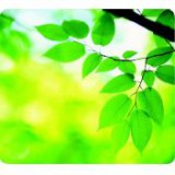 Egéralátét, újrahasznosított, FELLOWES "Earth Series™", levelek