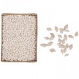 Egyéb Csiga dobozban 15 cm x 20 cm x 6 cm fehér