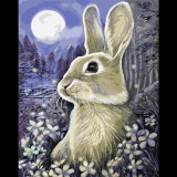 Egyéb SOA-ART PBN-P-005 40x50cm számozott kifestő (PBN-P-005)