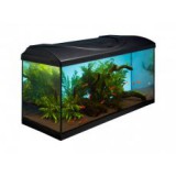 Egyenes DIVERSA STARTUP 80 akvárium szett - fekete