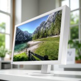 EIZO FlexScan EV2411W 24" 1920 x 1200p DVI-D/VGA/Audio Studio Monitor Fehér