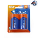 Elem Góliát (K1381)