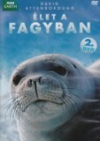 Élet a fagyban 2. - DVD